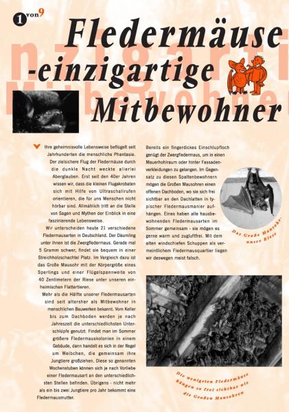 Flyer Fledermäuse - Einzigartige Mitbewohner (Seite 1)